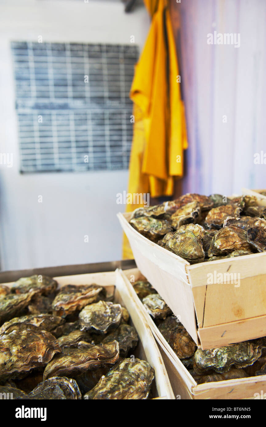 Boîtes d'huîtres de Colchester et fraîchement pêché prêt pour le marché aux poissons Banque D'Images