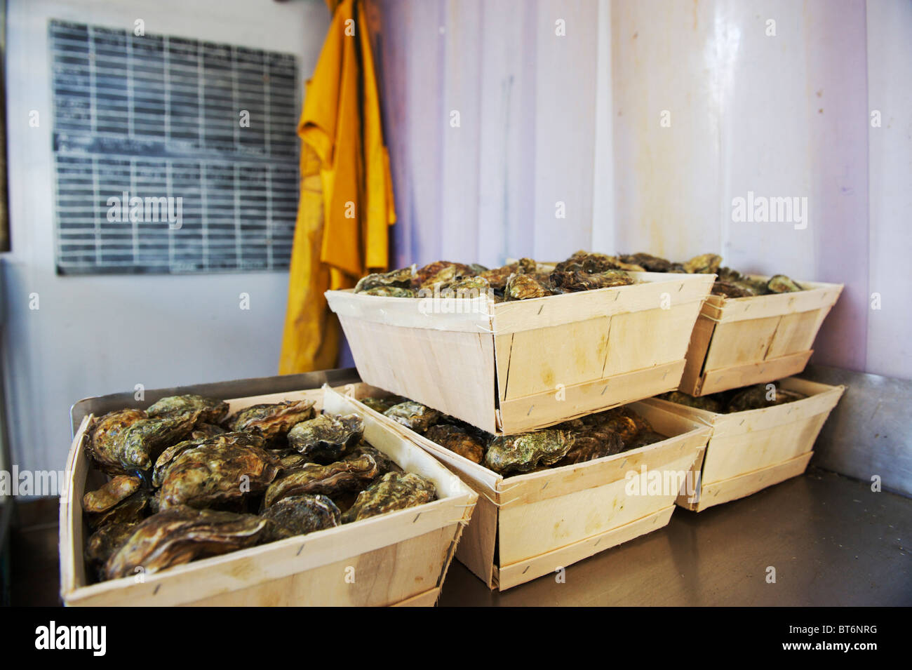 Boîtes d'huîtres de Colchester et fraîchement pêché prêt pour le marché aux poissons Banque D'Images