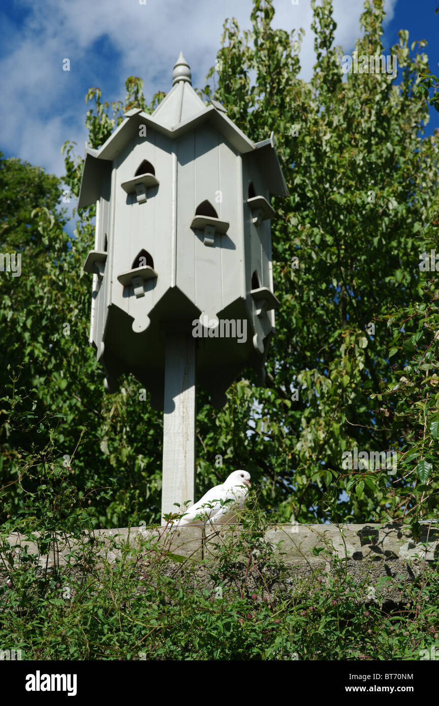Un pigeonnier ou Colombier (Scots : Doocot) est un bâtiment destiné à abriter les pigeons ou colombes. Banque D'Images