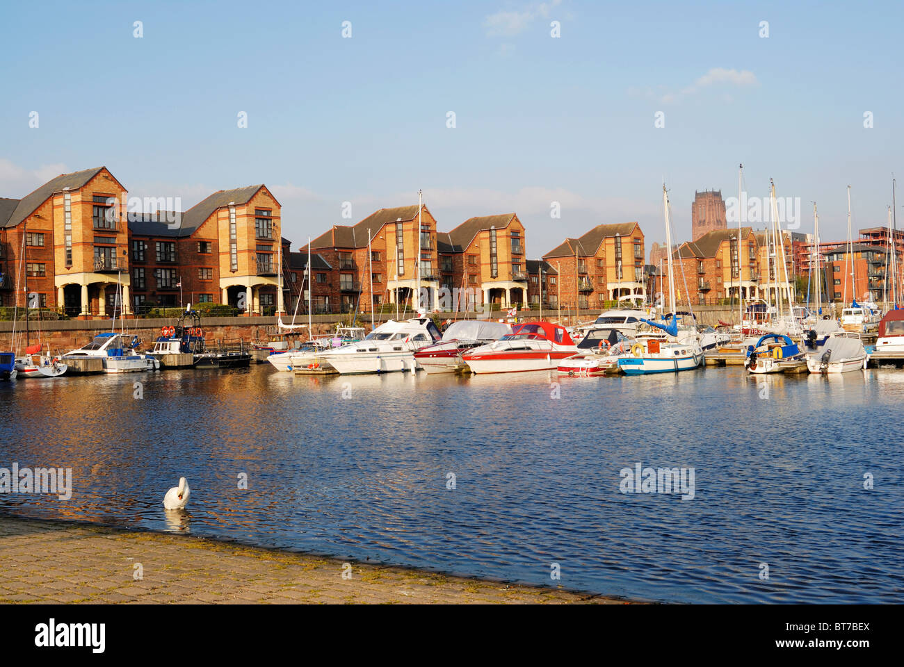 Les nouveaux quartiers sur le réaménagement des quais à Dingle, Liverpool. Anciennement Guanaco Dock, Liverpool accueille désormais Marina. Banque D'Images