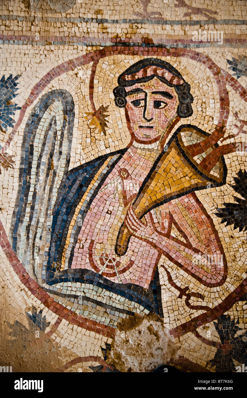 Détail de mosaïque du 8ème siècle, église de Saint Stephen à Umm al-Rasas, Jordanie. Banque D'Images