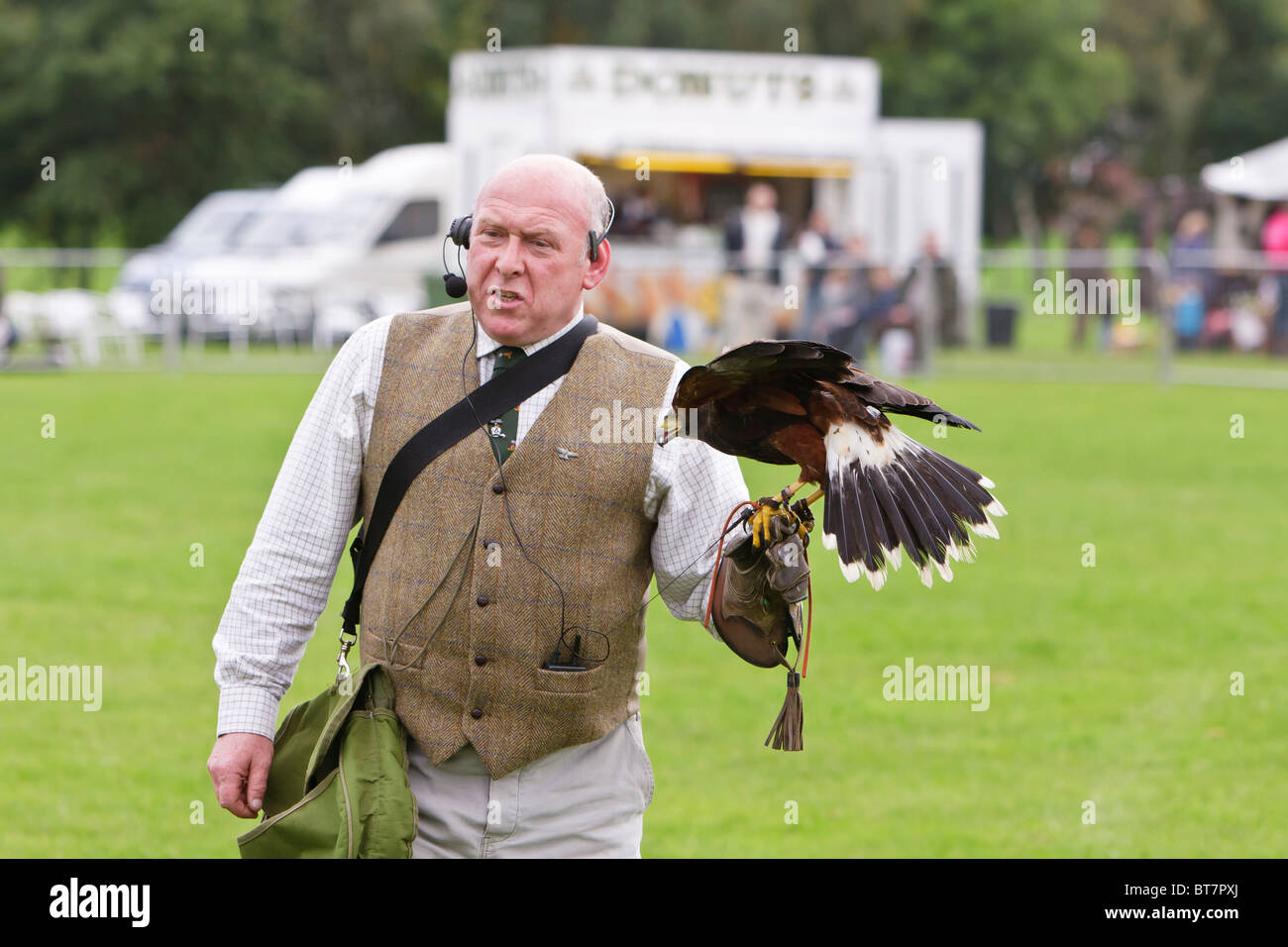 Falconer mâle tenant une Harris Hawk à Hertfordshire Game Fair 2010 Banque D'Images