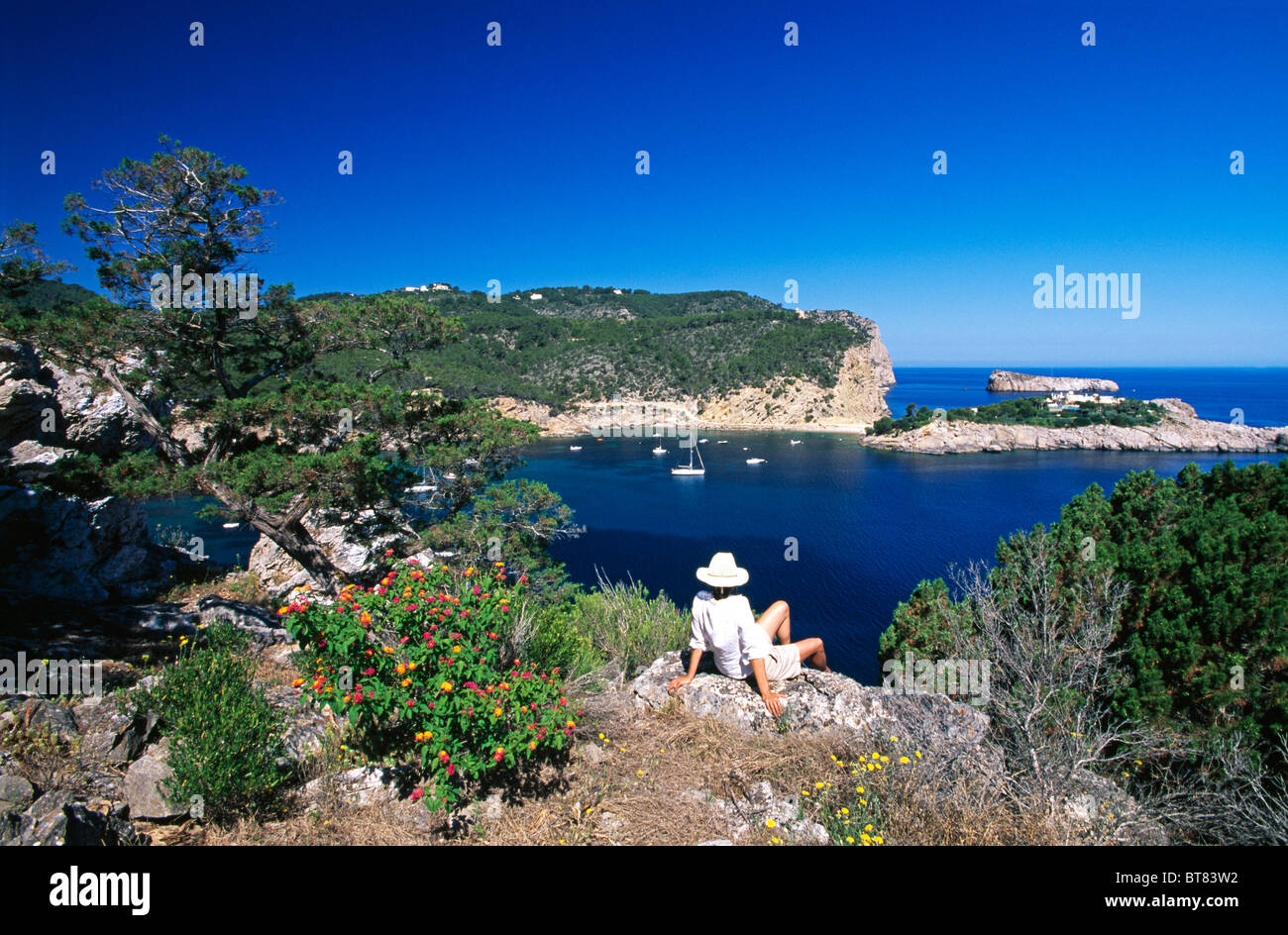 Côte près de Sant Miguel, Ibiza, Baléares, Espagne Banque D'Images