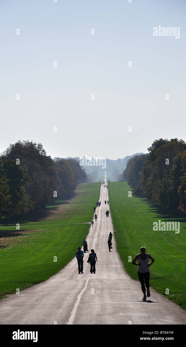 La longue promenade en automne, Windsor Great Park, Windsor, Berkshire, Angleterre, Royaume-Uni Banque D'Images