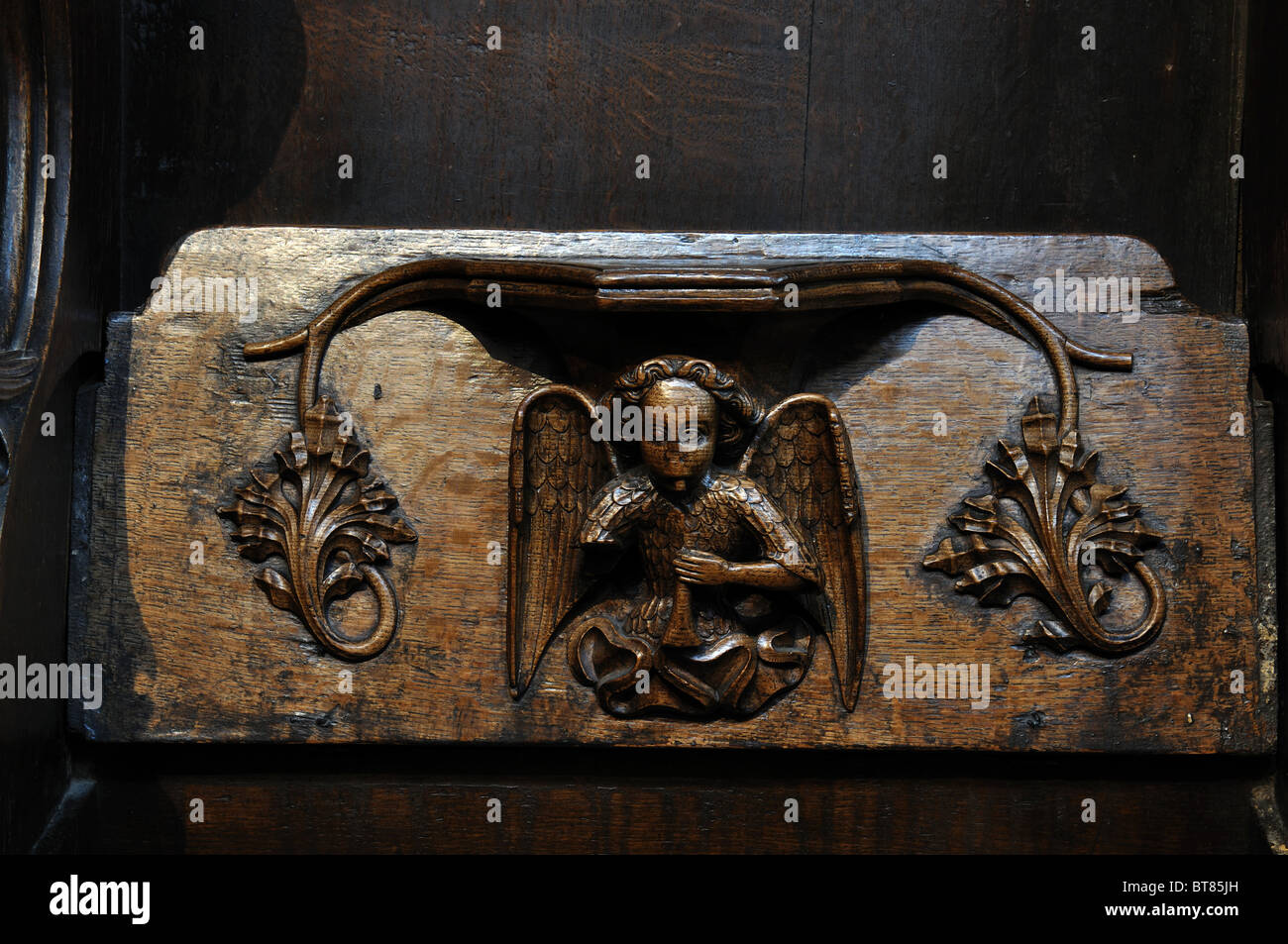 Misericord dans l'église Saint-Laurent, Ludlow, Shropshire, England, UK Banque D'Images