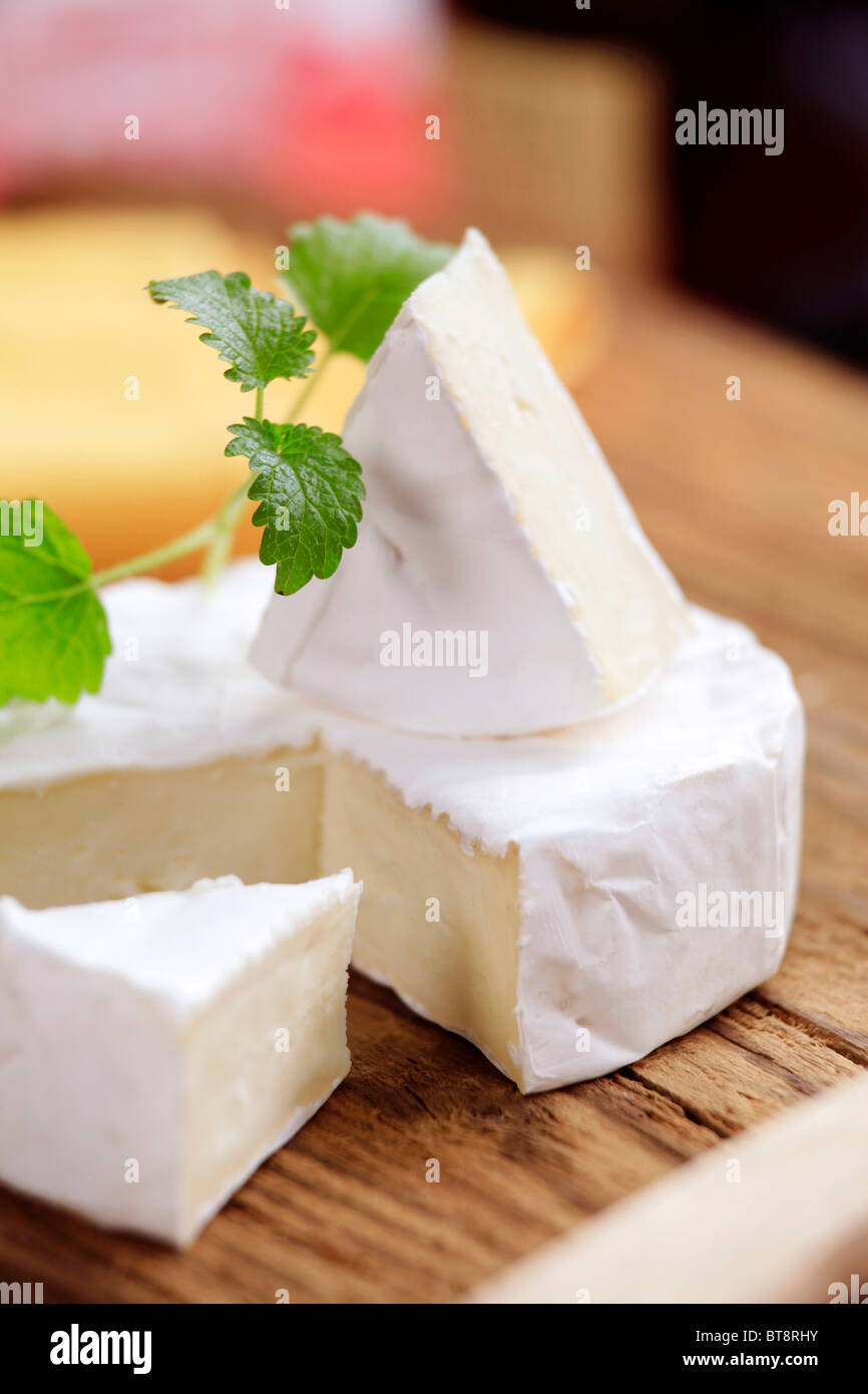 Morceaux de fromage à croûte blanche Banque D'Images