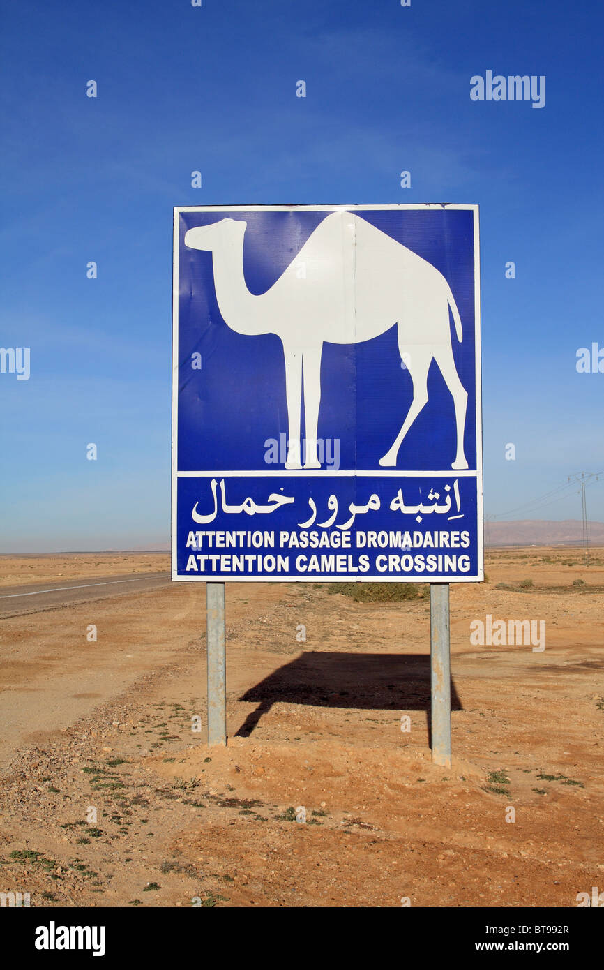 Panneau d'avertissement de chameaux Banque de photographies et d’images ...