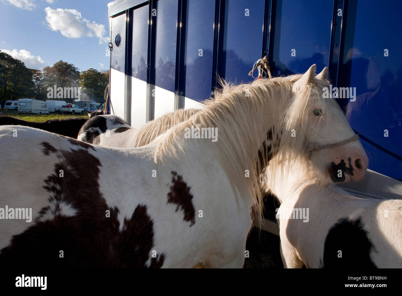 Depuis plus de 500 ans, les gens sont descendus sur Stow-on-the-Wold pour le rassemblement tsigane de l'arrimage du cheval. DAVID MANSELL Banque D'Images