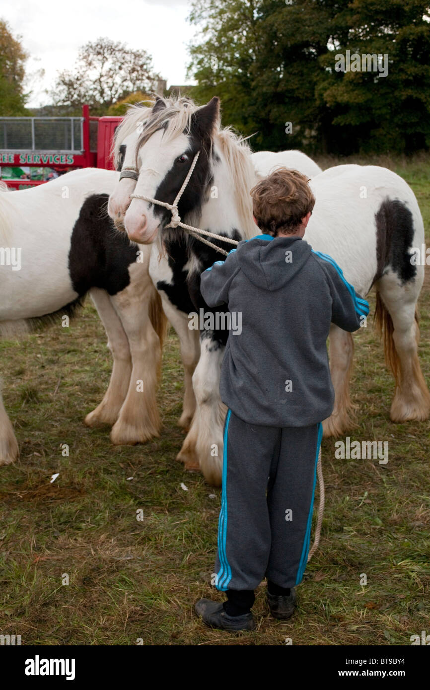 Un jeune garçon tsigane est d'aider l'entreprise familiale à s'occuper des chevaux pendant l'arrimage Foire aux chevaux. DAVID MANSELL Banque D'Images