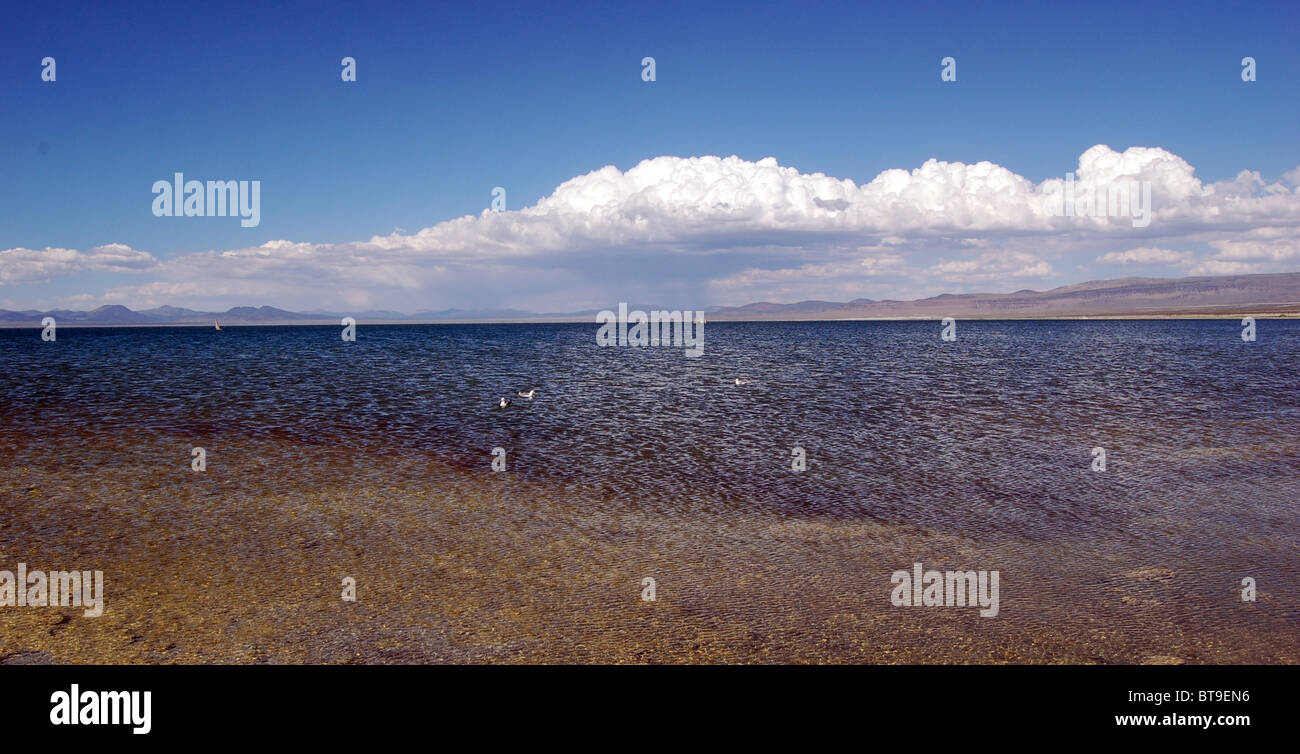 Panorama du lac Mono Banque D'Images