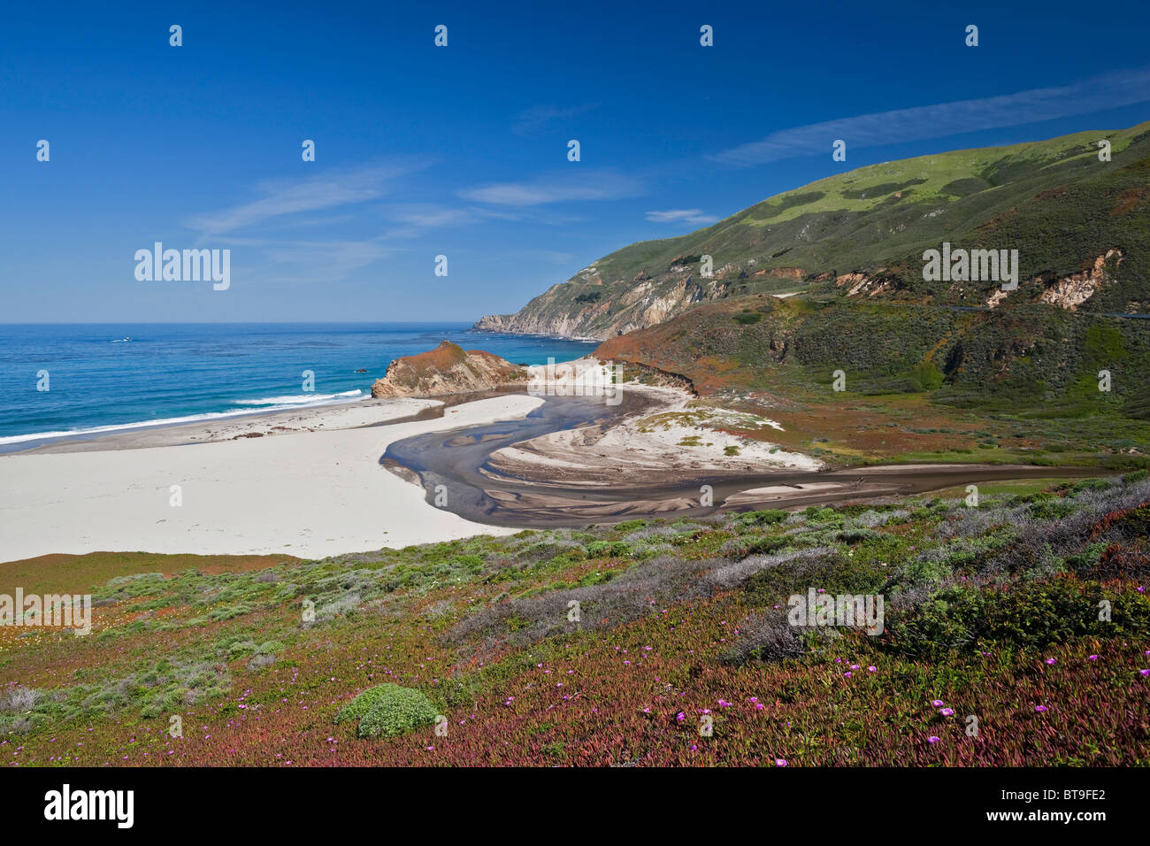 Plage solitaire sur l'océan Pacifique, la Route 1, California, USA Banque D'Images