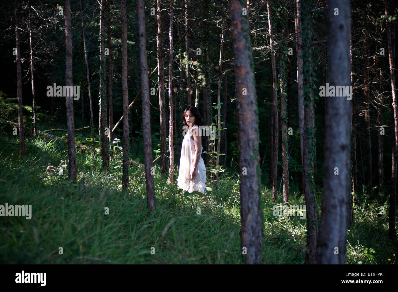 Une jeune femme dans une forêt de pins, vêtue d'une robe blanche Banque D'Images