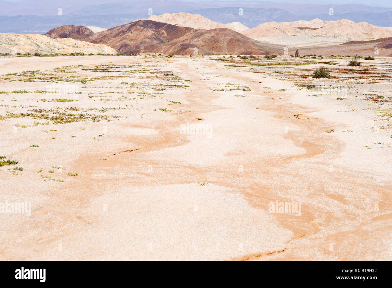 Hills sur le chemin de Los Lomitas sont colorés par des minerais d'après l'El Nino Parque Pan de Azucar nationale Chili Atacama S. Nord Banque D'Images