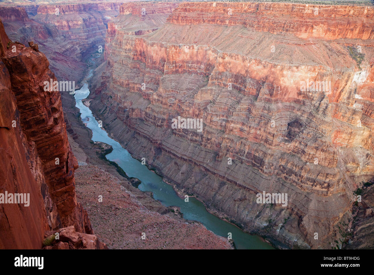 Grand Canyon et la rivière Colorado vu de Toroweap Point, Tuweep Area, North Rim, Arizona, USA Banque D'Images