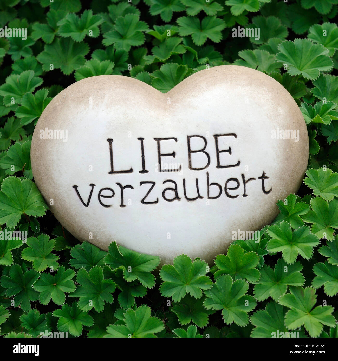 Coeur de pierre avec les mots 'Liebe verzaubert', 'l'amour est saisissante' comme une décoration de jardin entre plantes de rocaille Banque D'Images