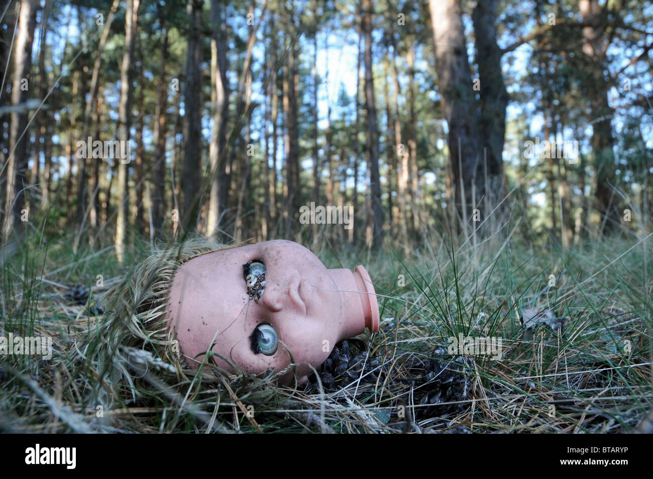 Tête de poupée en plastique dans la forêt Banque D'Images