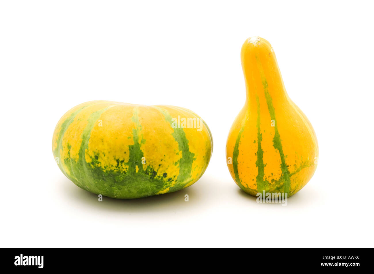 Cushaw squash sur un fond blanc Banque D'Images