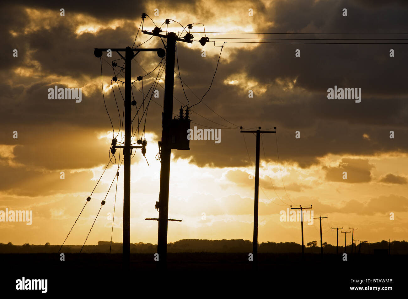 Les lignes d'électricité en milieu rural Banque D'Images