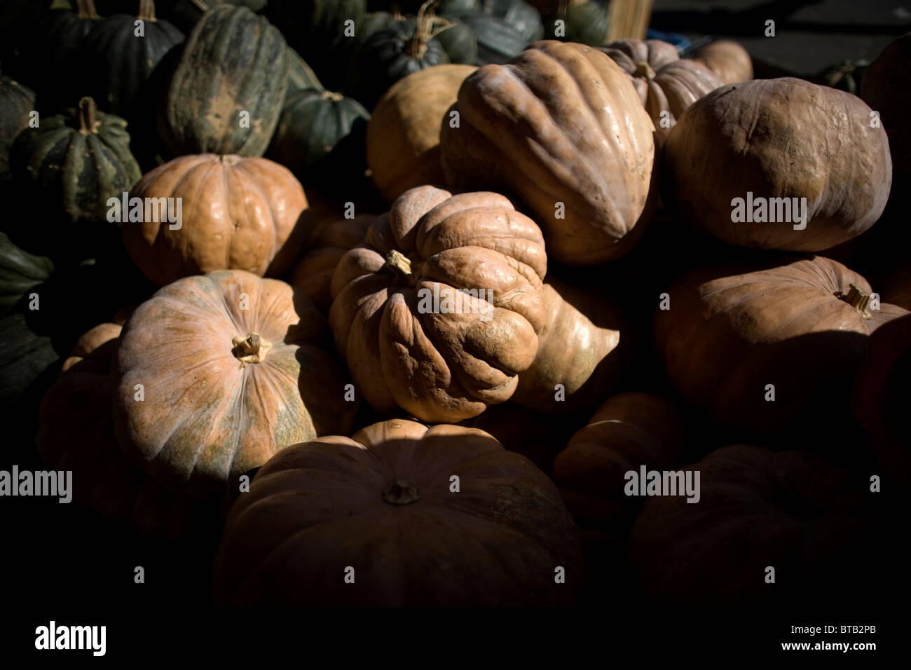 Les citrouilles pour Halloween sont en vente à la Jamaïque Marché aux Fleurs dans la ville de Mexico, 18 octobre 2010. Banque D'Images