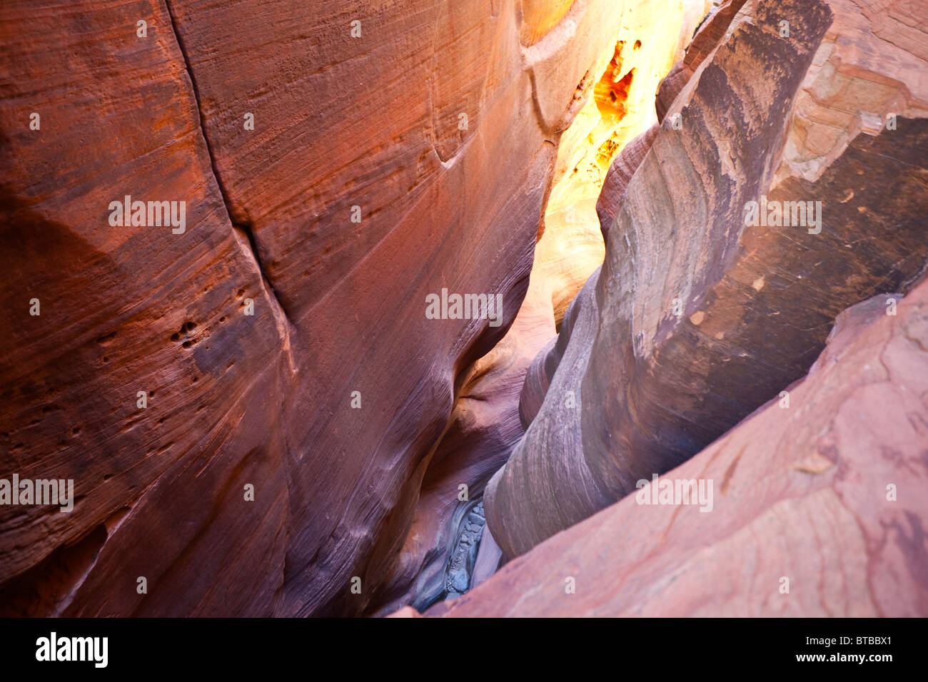 Vue vers le bas un slot canyon dans le parc national de Zion dans l'Utah. Banque D'Images