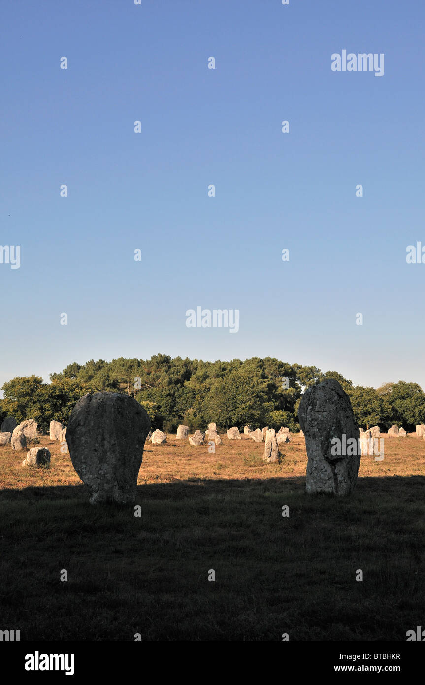 Les Menhirs de Carnac, Bretagne, France Banque D'Images