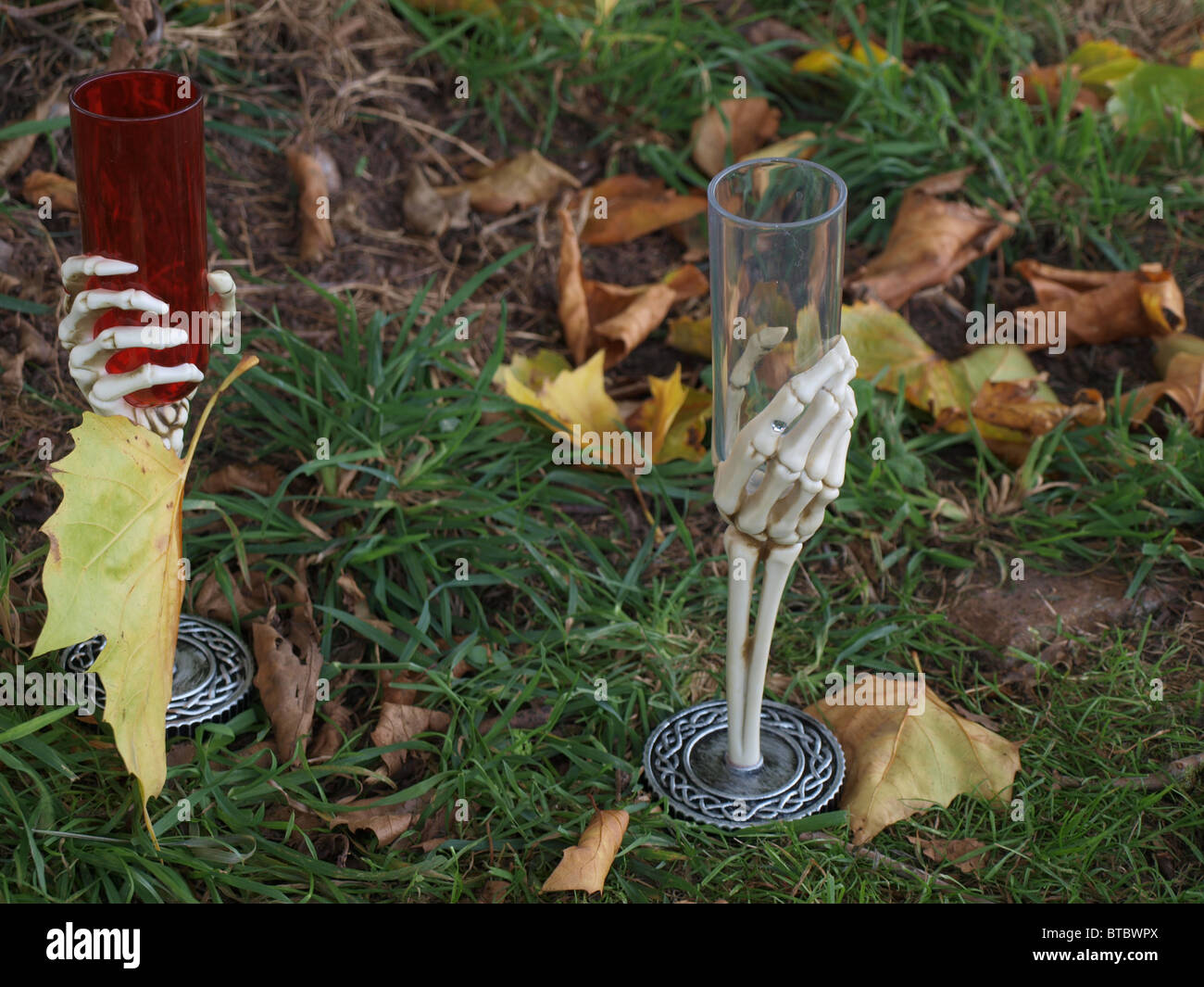 Verres pour halloween Banque D'Images