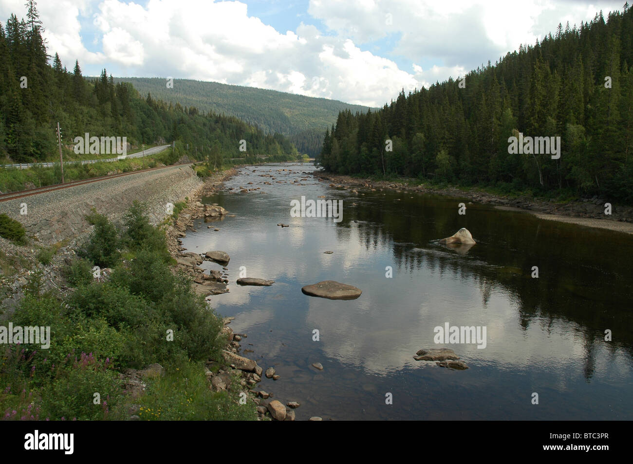 Spiren rivière Gaula, près de Rognes, dors Nord-trondelag (Norvège). Août, l'été de l'eau faible. Banque D'Images