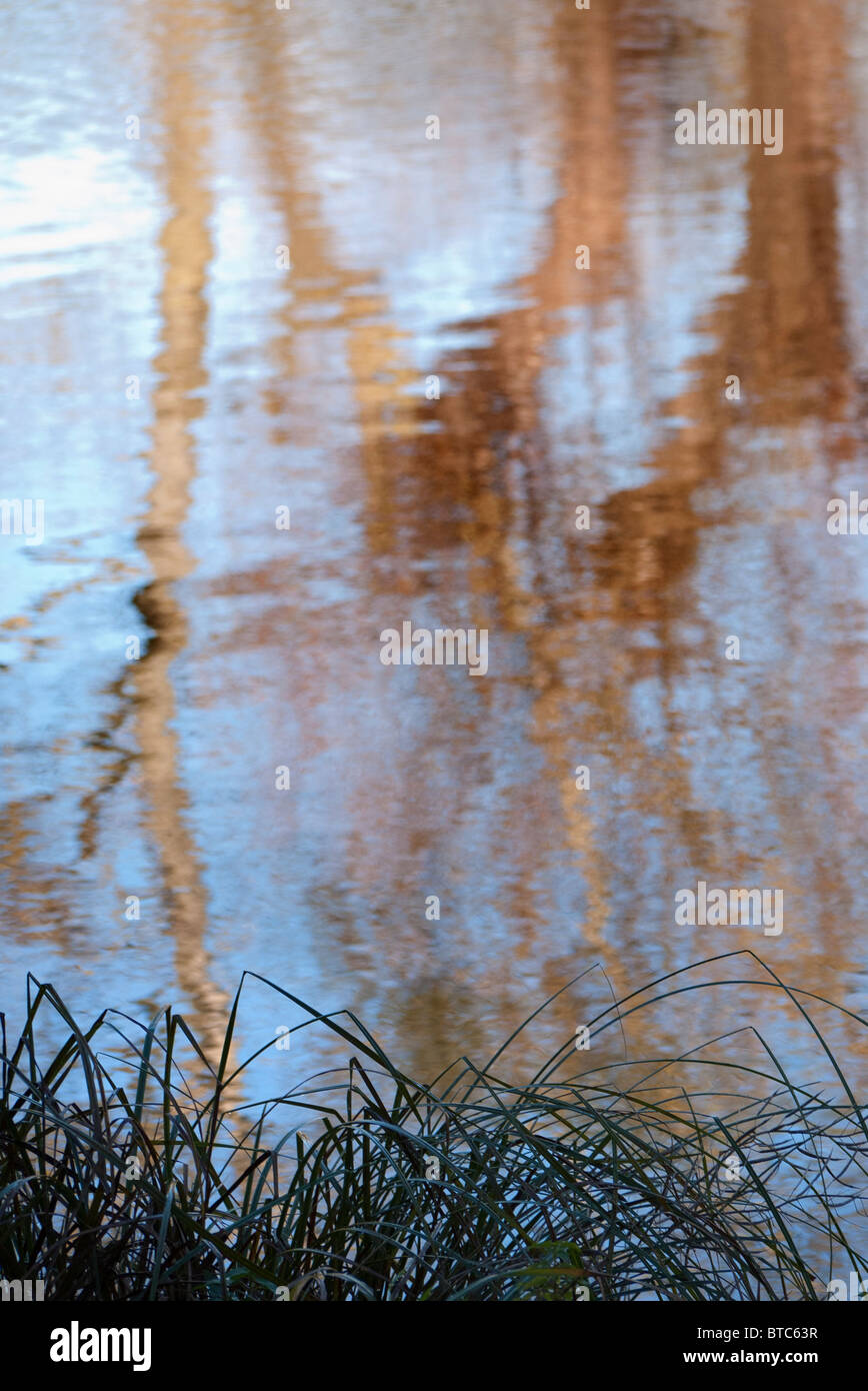 Reflet de feuilles d'automne sur la Tamise par Abingdon 10 Banque D'Images