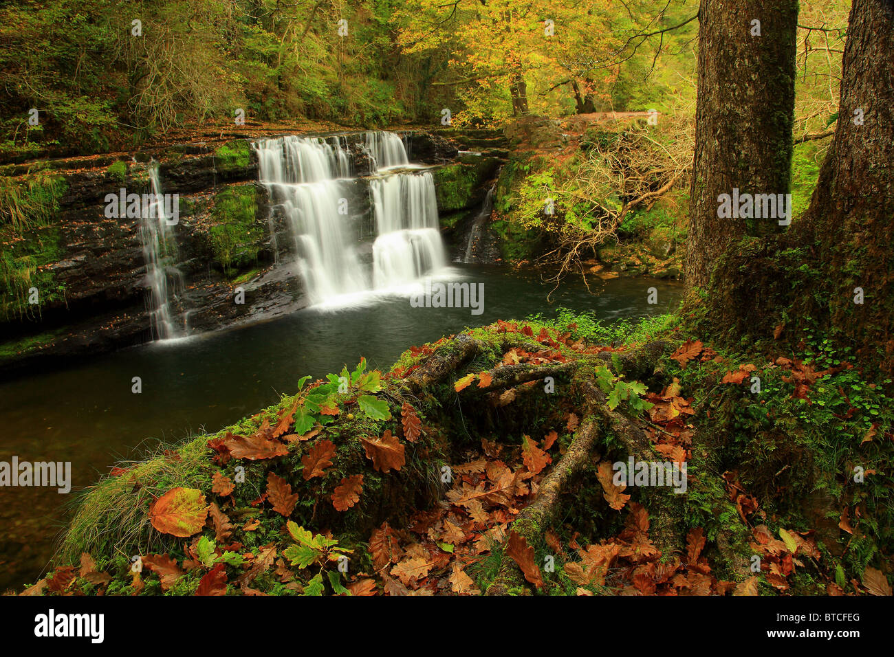 Sgwd yr chutes d'Pannwr ; Pays de Galles ; Royaume-Uni ; Banque D'Images