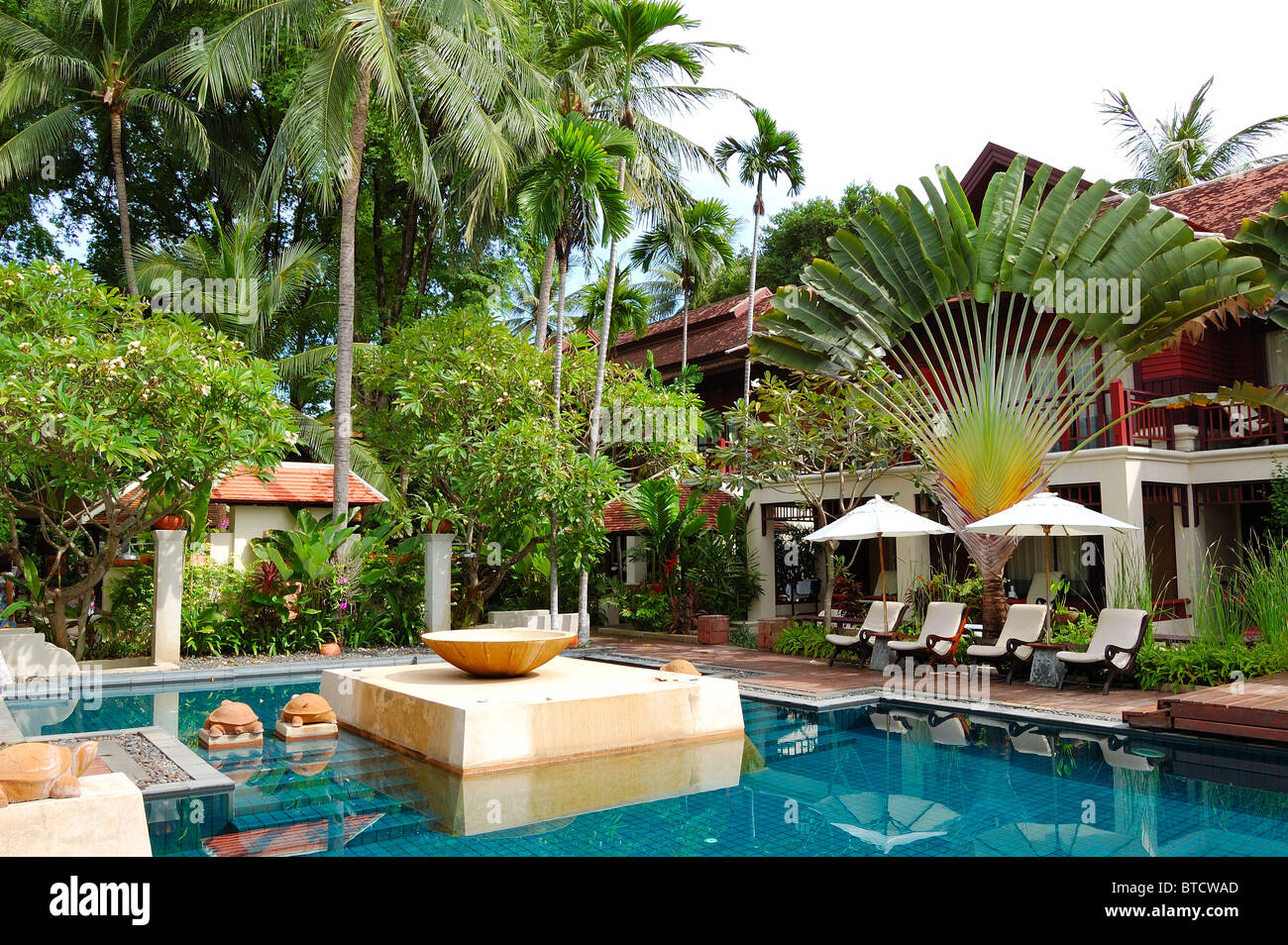 Piscine de la villa de luxe moderne, l'île de Samui, Thaïlande Banque D'Images