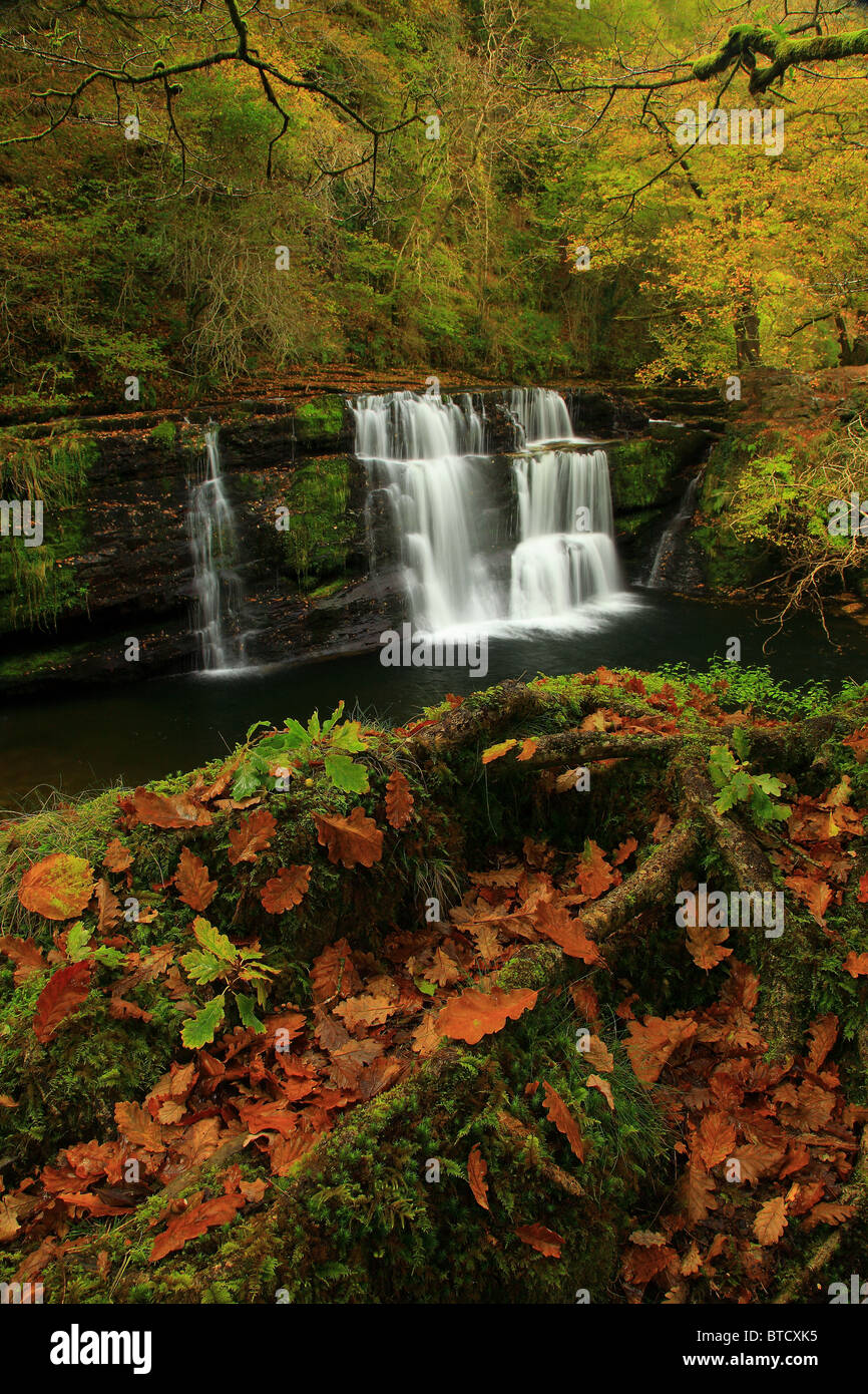 Sgwd yr chutes d'Pannwr ; Pays de Galles ; Royaume-Uni ; Banque D'Images