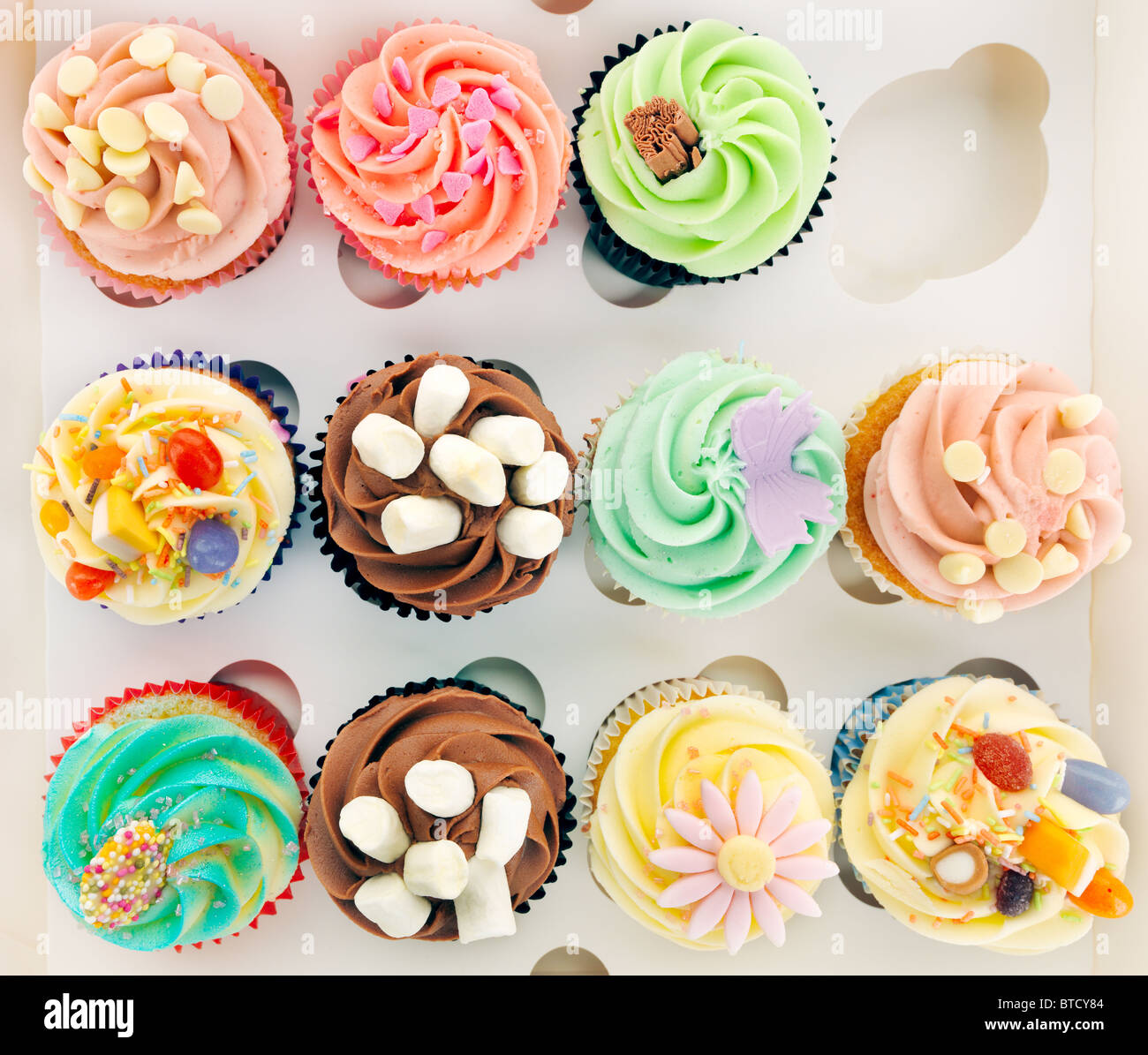 Cupcakes en boîte Banque D'Images