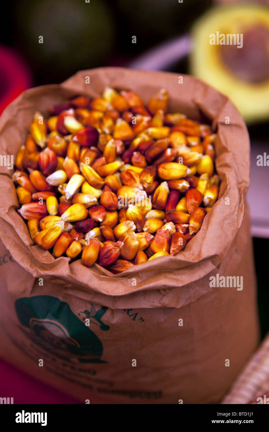 Choclo, ou grand noyau péruvien le maïs, comme vu à Lima, festival gastronomique annuel de Mistura. Banque D'Images