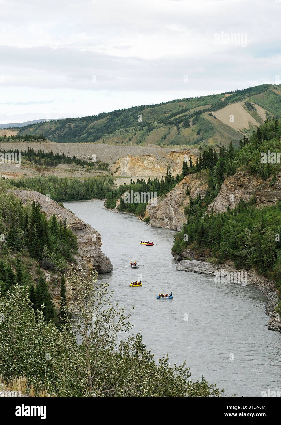 Vue d'un groupe de chevrons comme vu de la rivière Nenana, Alaska Railroad Canyon au nord du parc national Denali, Alaska Banque D'Images