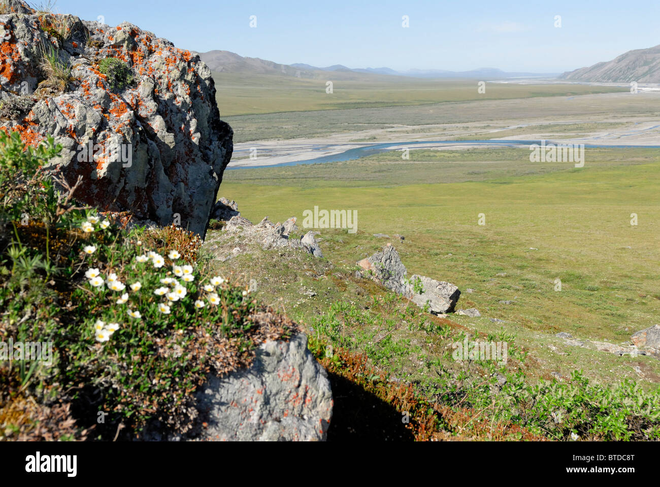 Un rocher couvert de lichens et de fleurs sauvages surplombe la rivière Kongakut et toundra à Caribou Pass, RFNA, Alaska, l'été Banque D'Images