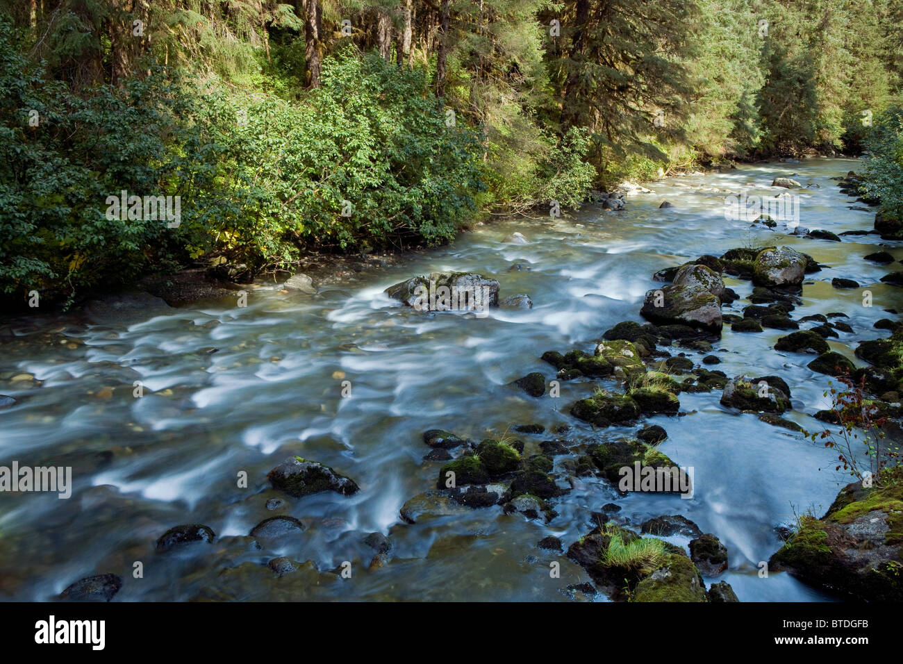 Un ruisseau serpente à travers la forêt nationale de Tongass, sud-est de l'Alaska, l'été Banque D'Images
