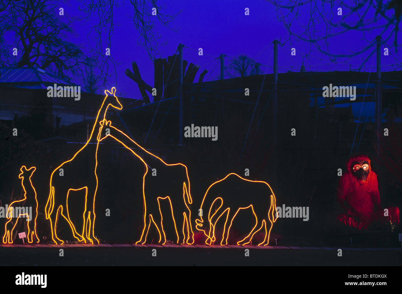 Avon, Bristol, Bristol Zoo Banque D'Images