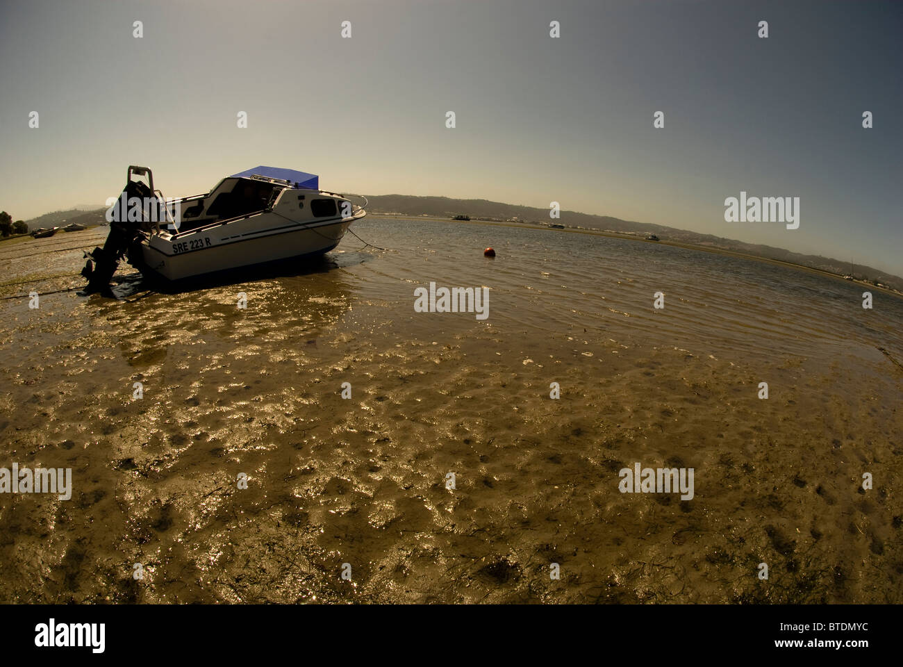 Vue du poisson d'un bateau de pêche amarré sur le lagon de Knysna à marée basse Banque D'Images