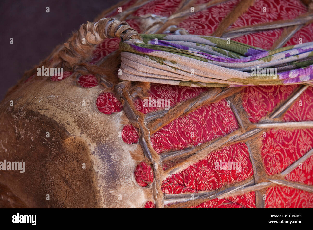 Tambour de cérémonie d'un détail de l'église creusées dans le roc, Beta Medhane Alem (Maison du Sauveur du monde) Banque D'Images