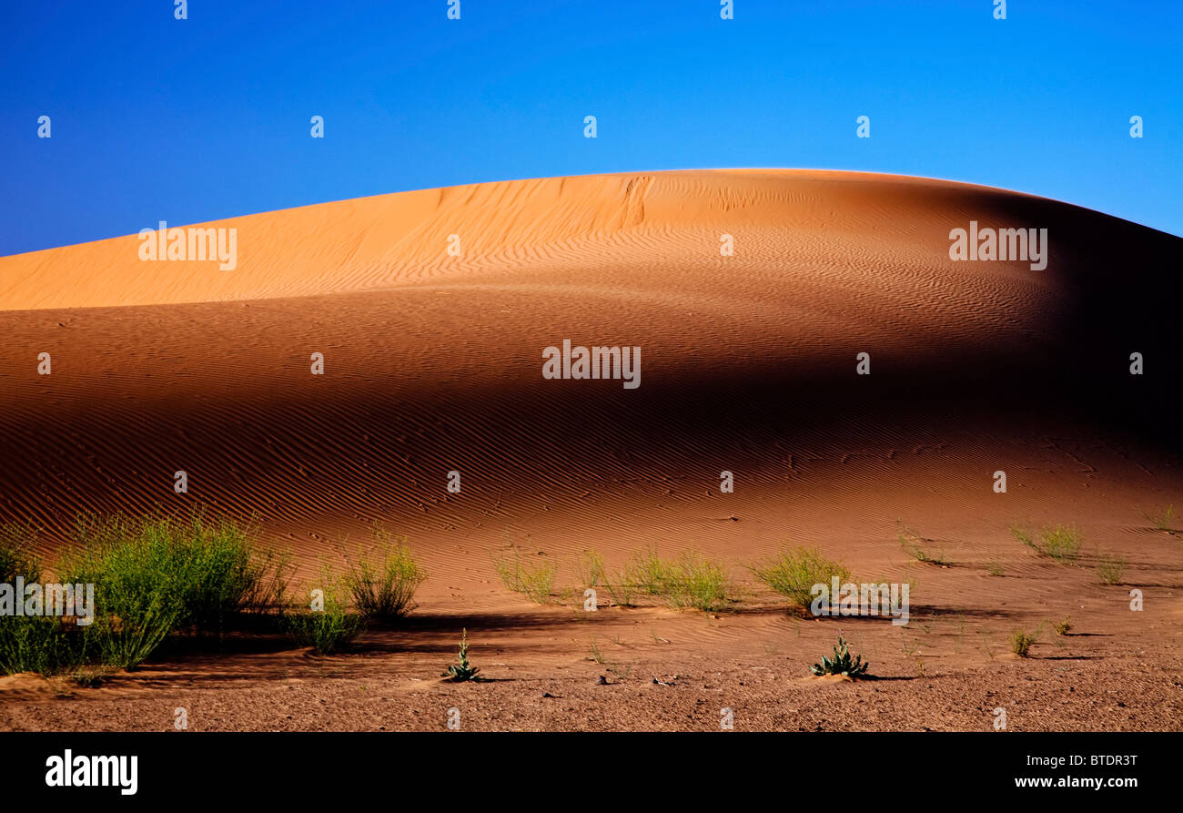 Soleil levant sur une dune de sable dans le désert du Sahara au Maroc Banque D'Images