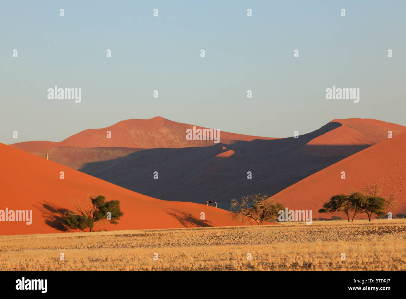 Les touristes à monter une dune de sable Ridge dans le paysage de Sossusvlei Banque D'Images