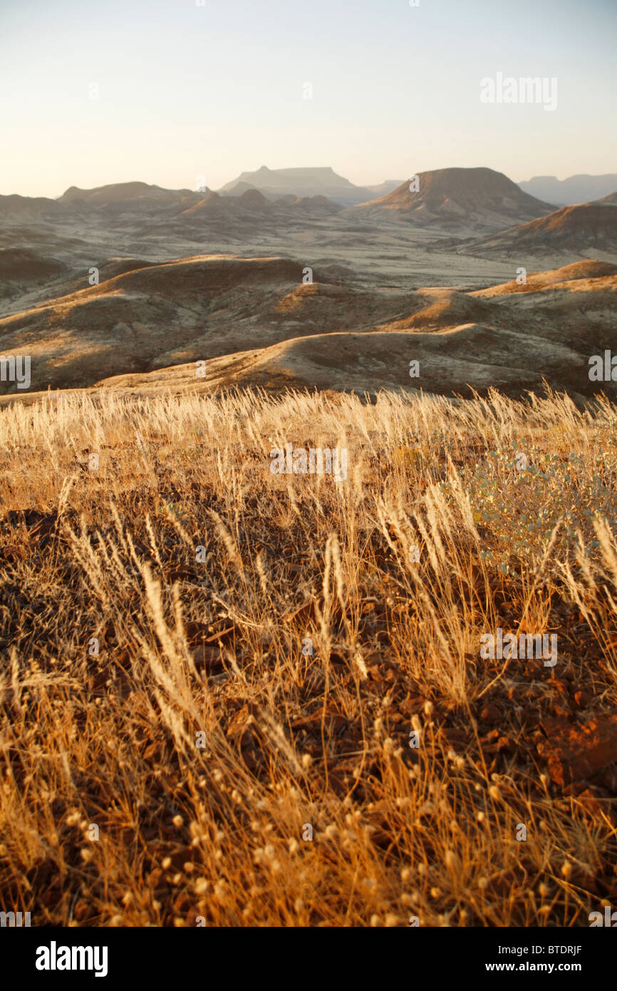 Le Damaraland paysage avec de l'herbe sèche au premier plan Banque D'Images