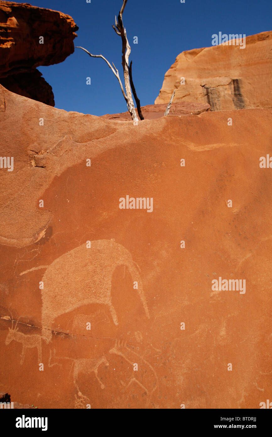 Eaux-fortes d'art rupestre San des éléphants et antilopes sur un rocher Banque D'Images