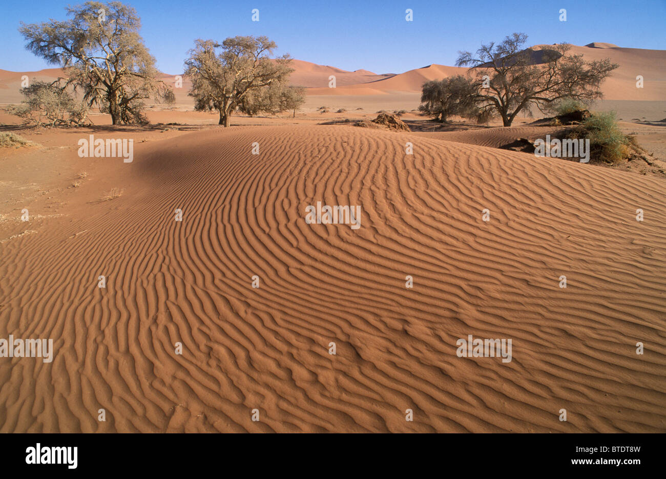 Dunescape avec des motifs dans le sable Banque D'Images