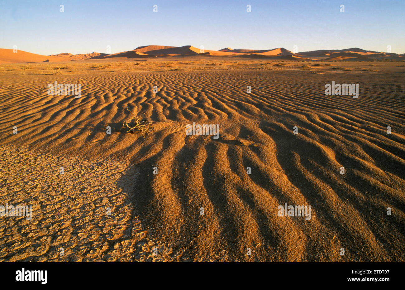 Dunescape avec des motifs dans le sable Banque D'Images