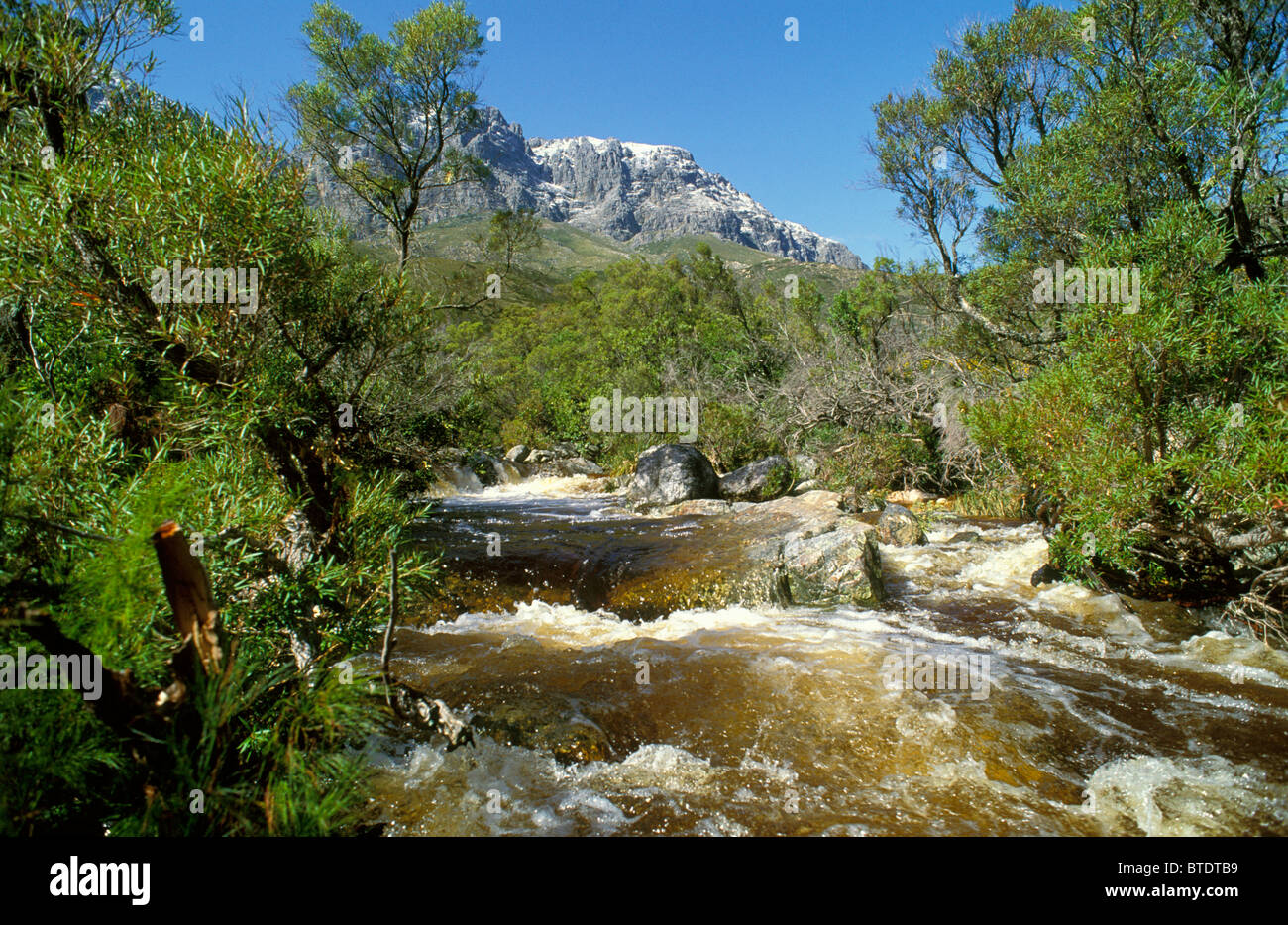 Vue panoramique de Jonkershoek Rushing River dans le réserver Banque D'Images