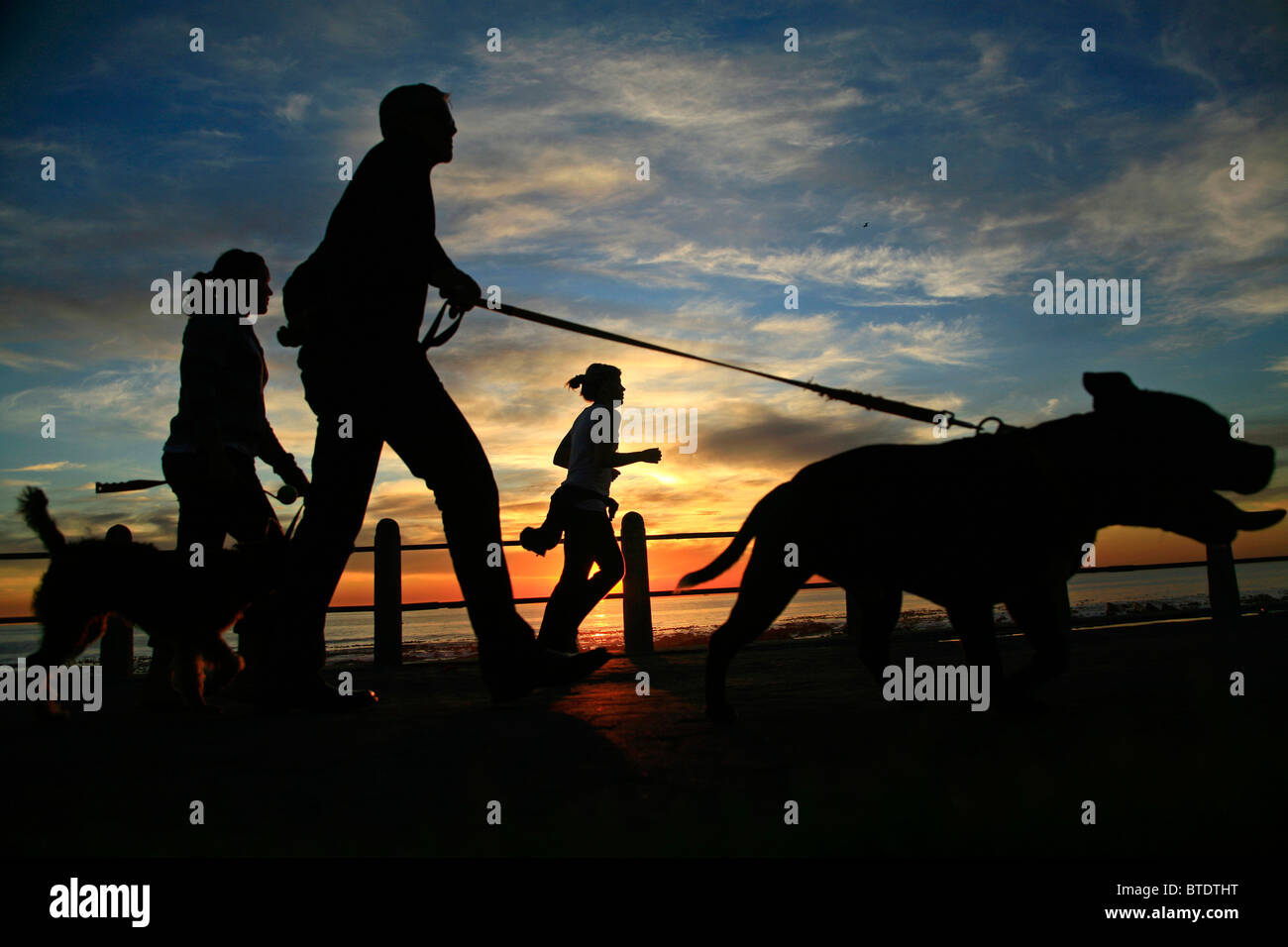 Jogger et les gens promènent leurs chiens le long de Sea Point esplanade au coucher du soleil Banque D'Images