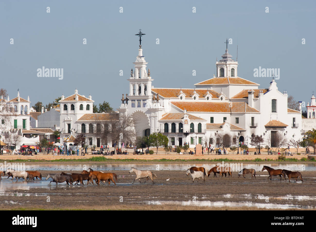 Les chevaux dans les marais en face du village d'El Rocio, Huelva, Espagne Banque D'Images
