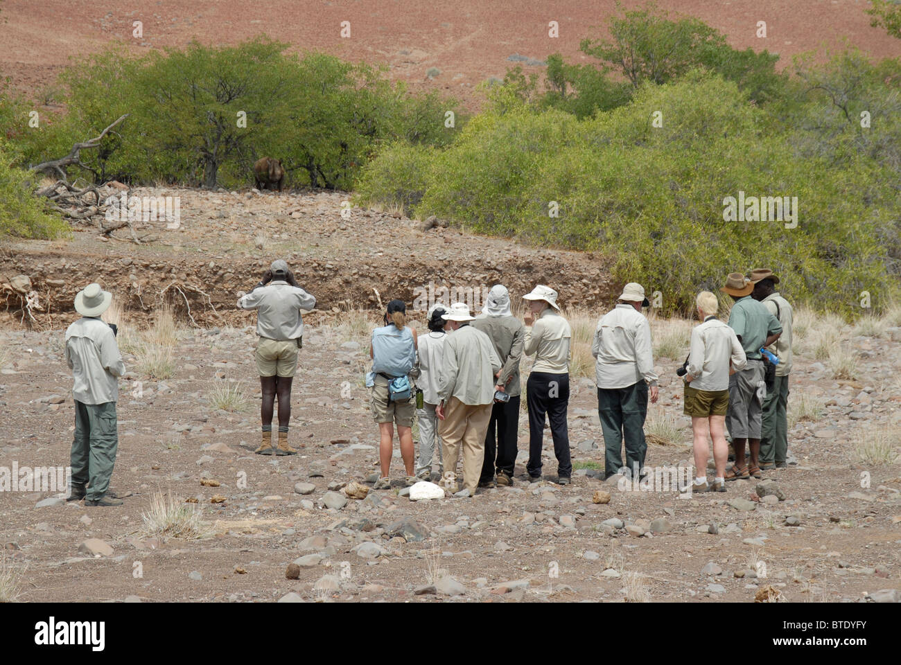 Groupe de touristes regardant black rhino sur safari à pied Banque D'Images