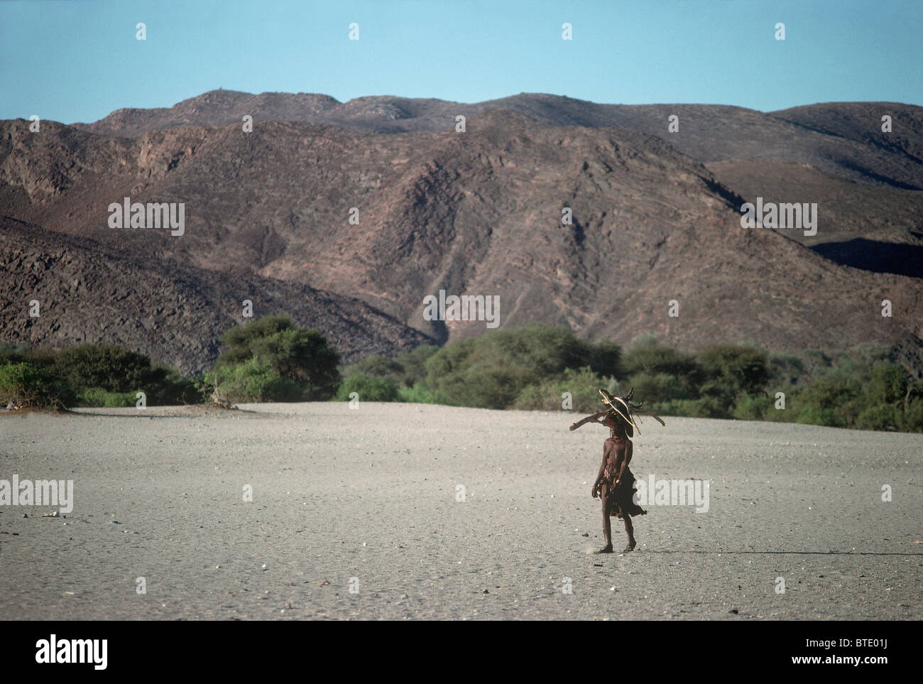 Vue panoramique d'un seul femme Himba à transporter le bois sur sa tête dans un paysage aride Banque D'Images